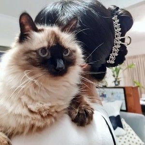 Meet your Posher, Vina